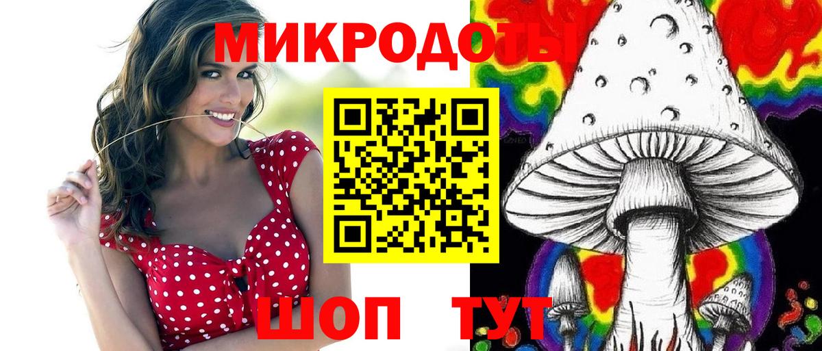 Псилоцибиновые грибы прущие грибы Ивантеевка